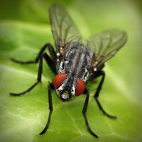 /album/cpesp-inova%c3%a7%c3%a3o-amp%3bsustentabilidade/photolia-a01-jpg/