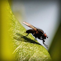 /album/cpesp-inova%c3%a7%c3%a3o-amp%3bsustentabilidade/photolia-a04-jpg/