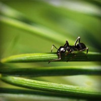 /album/cpesp-inova%c3%a7%c3%a3o-amp%3bsustentabilidade/photolia-a05-jpg/