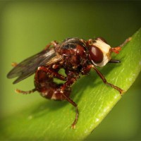 /album/cpesp-inova%c3%a7%c3%a3o-amp%3bsustentabilidade/photolia-a06-jpg/