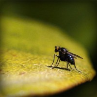 /album/cpesp-inova%c3%a7%c3%a3o-amp%3bsustentabilidade/photolia-a07-jpg/