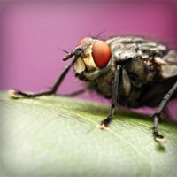 /album/cpesp-inova%c3%a7%c3%a3o-amp%3bsustentabilidade/photolia-a08-jpg/